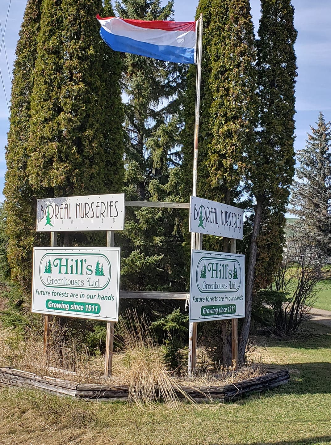 Hill's Greenhouses Ltd logo